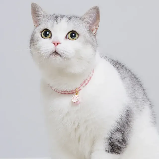 Cute collar for dogs and cats - with adjustable size, with decorative pendant