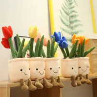 Teddy decoration in pot - tulip/sukulent