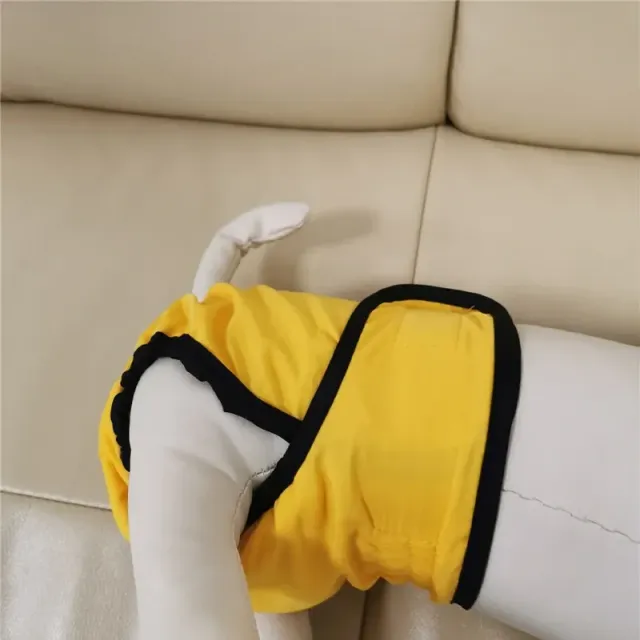 Practical diaper-style outfit for dogs against soiling the house - more variants