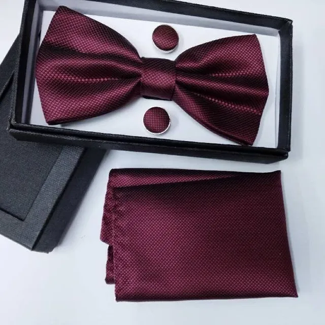 Luxury bow tie with handkerchief Gentle