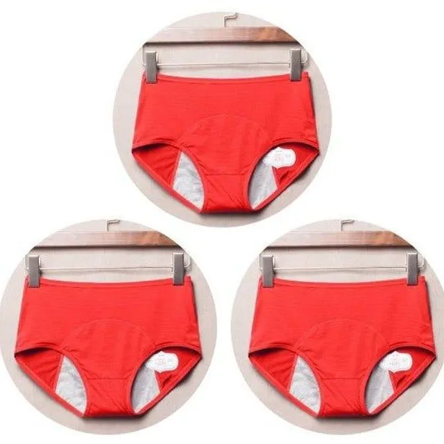 Set of menstrual panties with high waist 3pcs - more colors