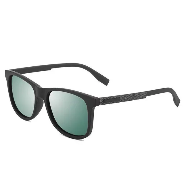 Men's polarized sunglasses Ray