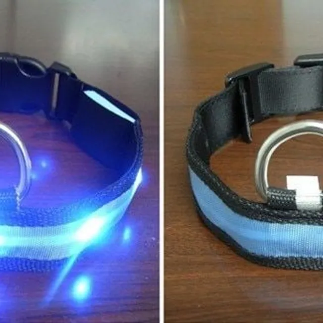 Ware LED light-up collar