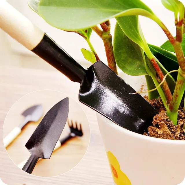 Mini set of gardening tools