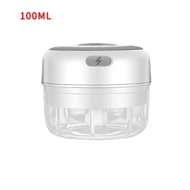 Electric mini blender