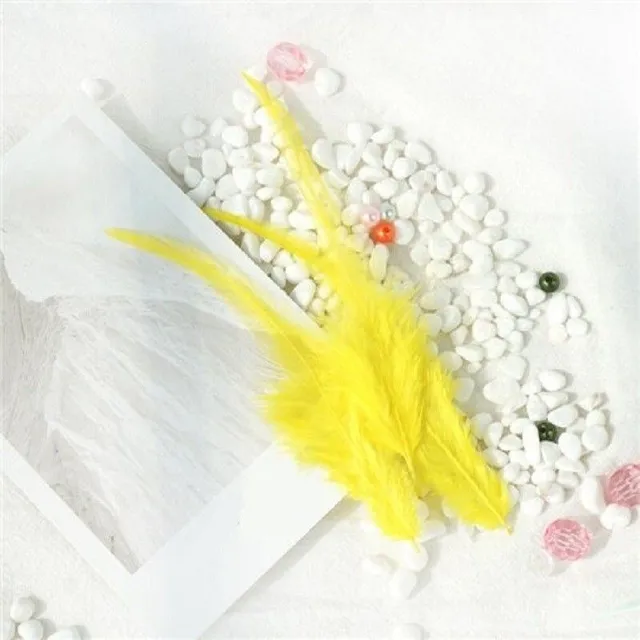 Decorative cock feathers 10-15 cm 50 pcs