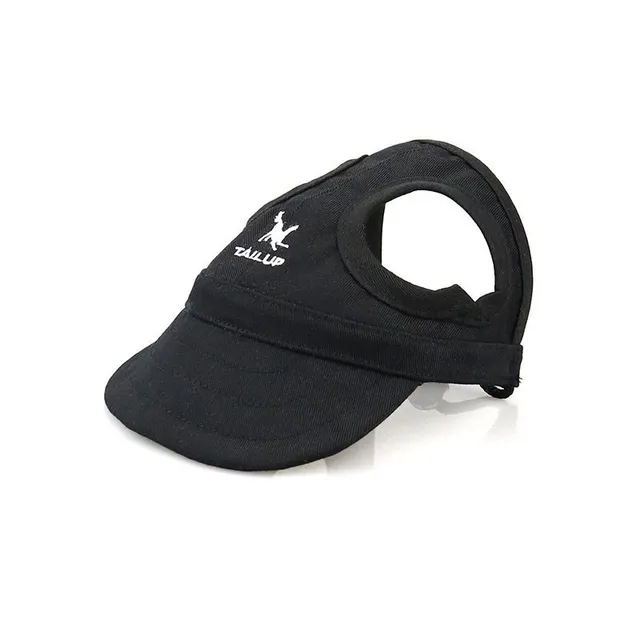 Cap for dogs and owner