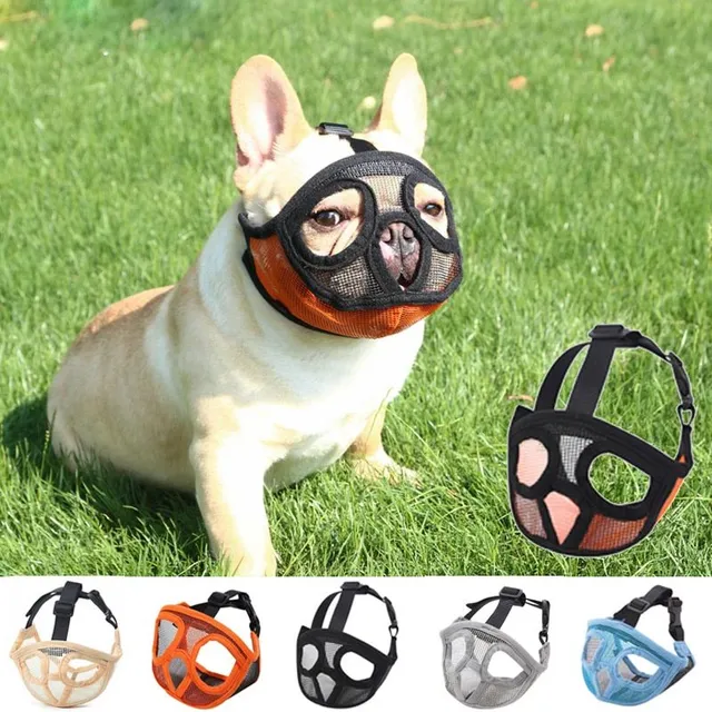 Muzzle for dogs with short muzzle