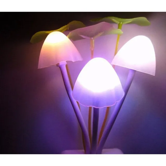 Mushroom-shaped night light for socket