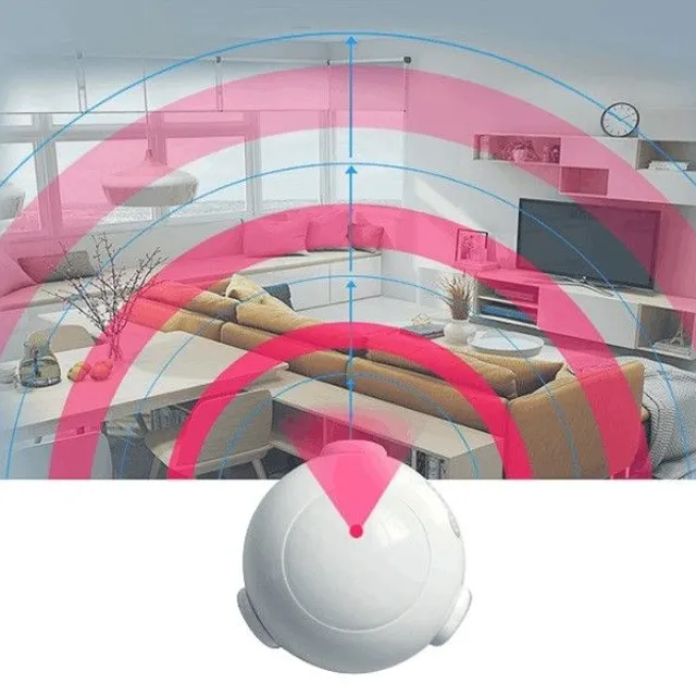 PIR motion detector