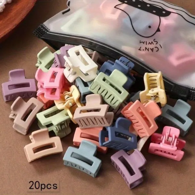 20pcs set of matte hair clips in different colors