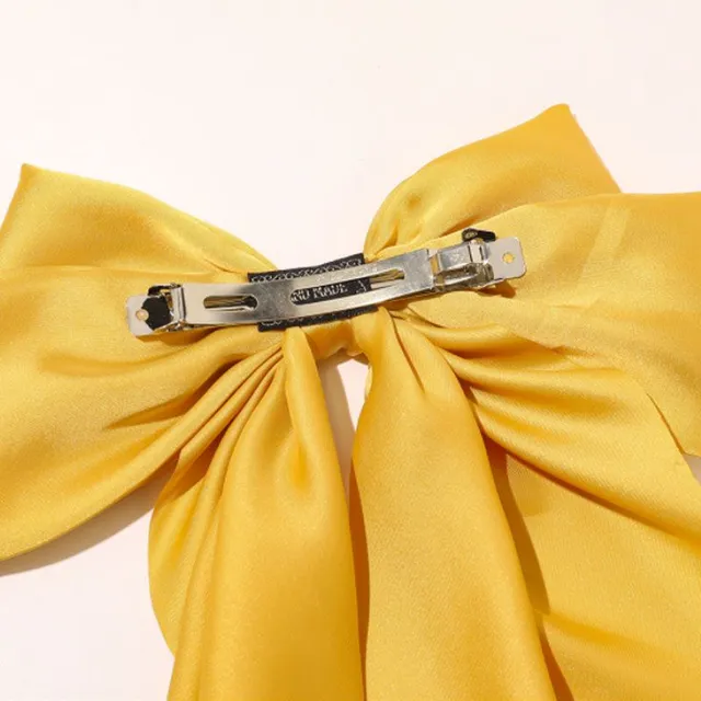 Beautiful modern buckle with large decorative bow