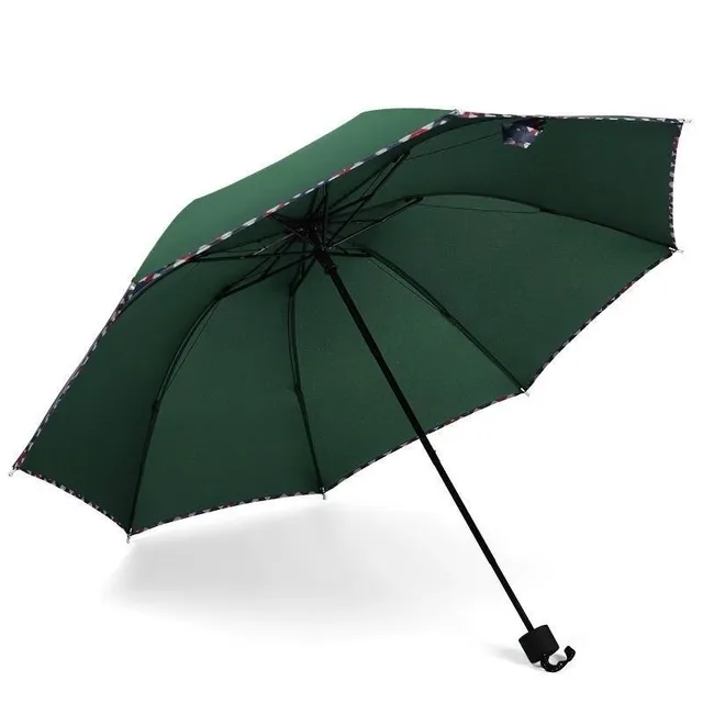 Augustine's umbrella zelena