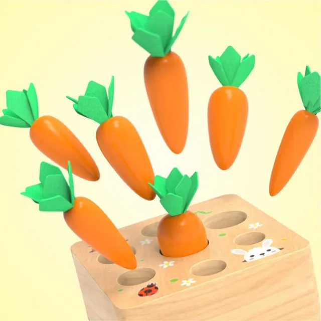 Wooden insertion toy with carrot