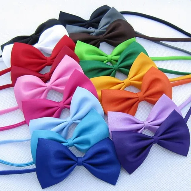Elegant adjustable bow tie for dogs