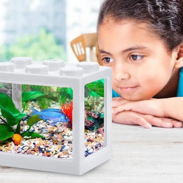 Mini acvariu Cub