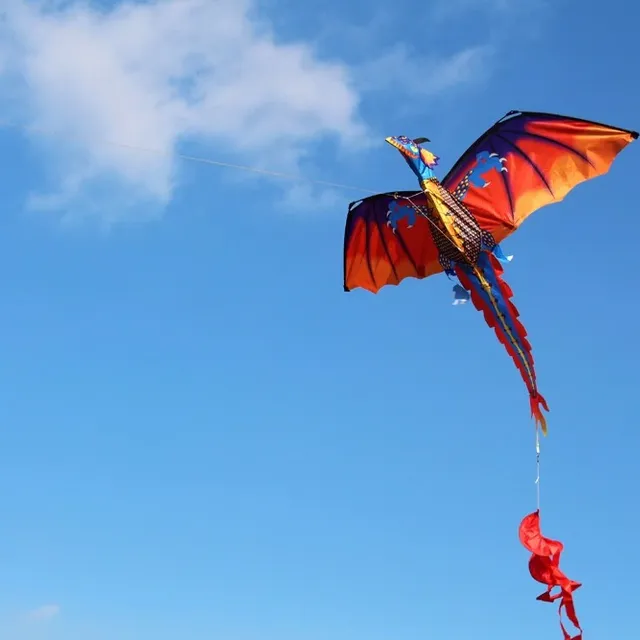 Flying Dragon - 140 x 120 cm