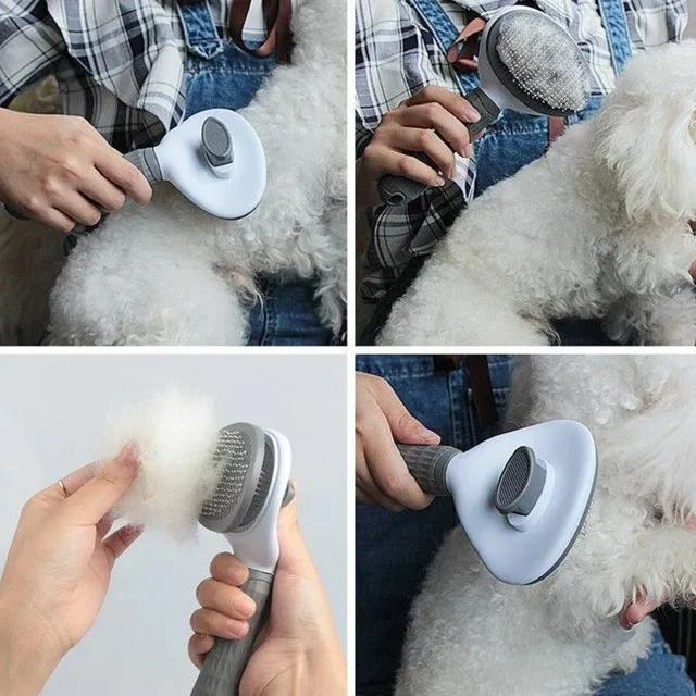 Oval Brush for Animals