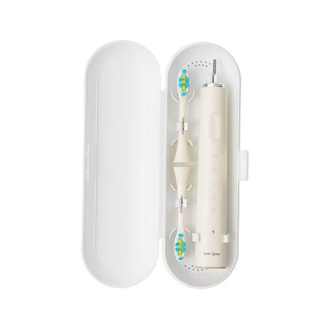 Electric toothbrush case