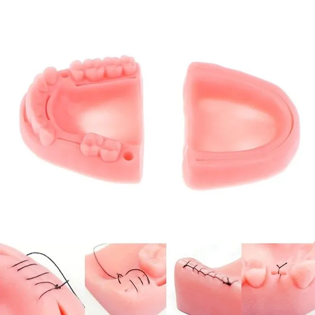 Denture model for stitching training 4 pcs