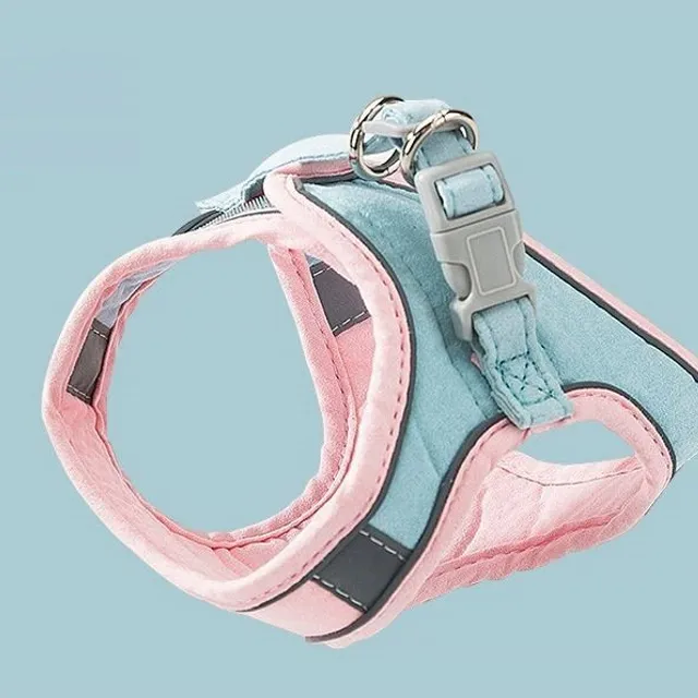 Cute harness for cats