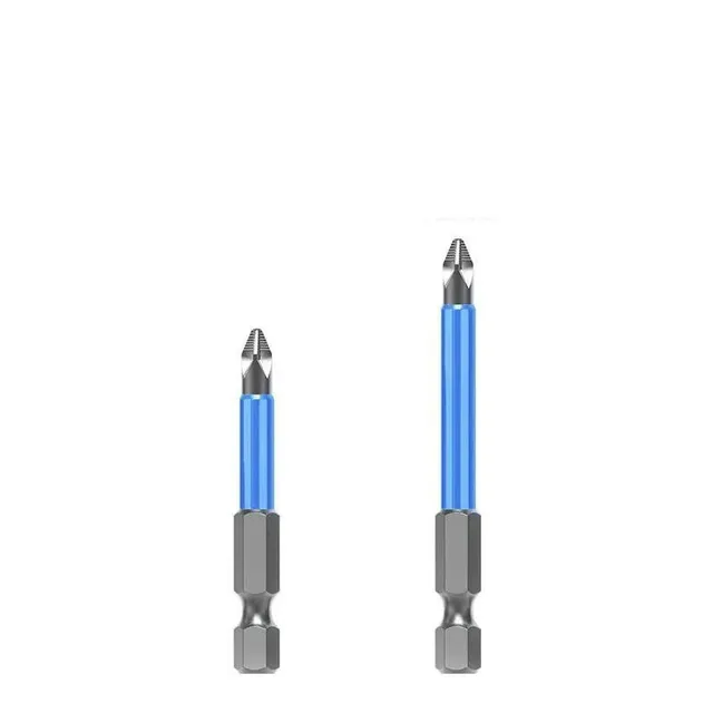 Magnetic kit of bits for screwdriver