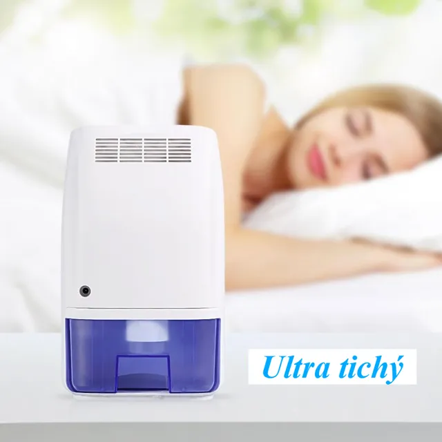 Portable dehumidifier with removable electric air dryer