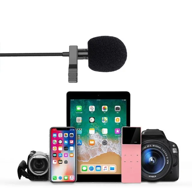 Microphone with mobile phone connection
