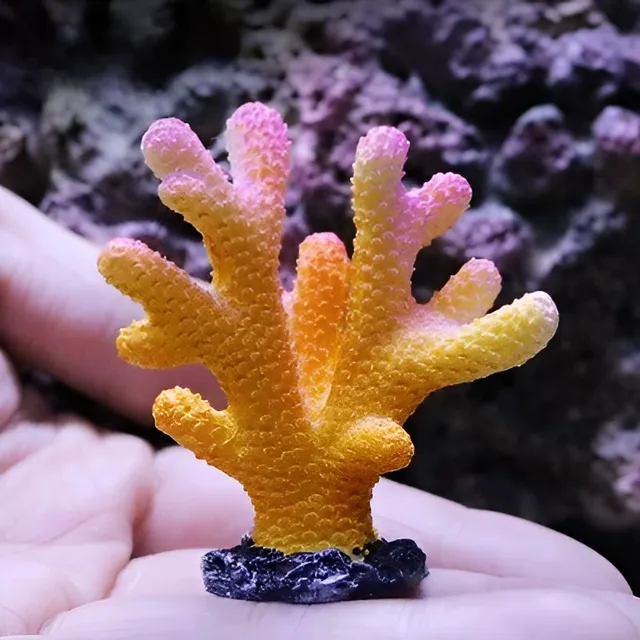 Artificial coral into the aquarium
