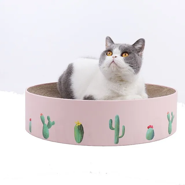 Modern practical bed for cats with scraper and printing