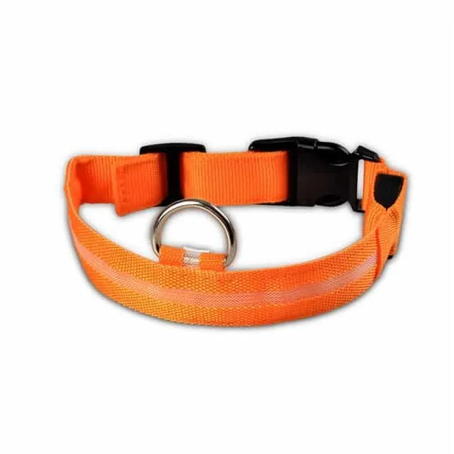 Luminous nylon collar for dogs