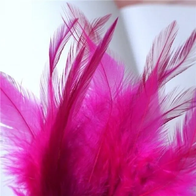 Decorative cock feathers 10-15 cm 50 pcs