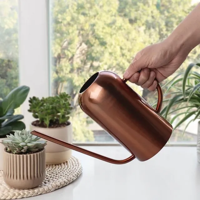 Stainless steel watering can Bia