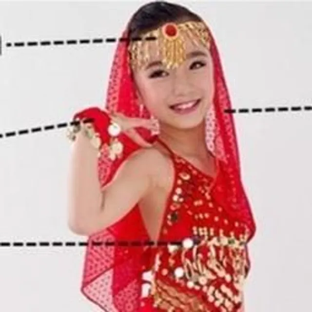 Belly dancer costume