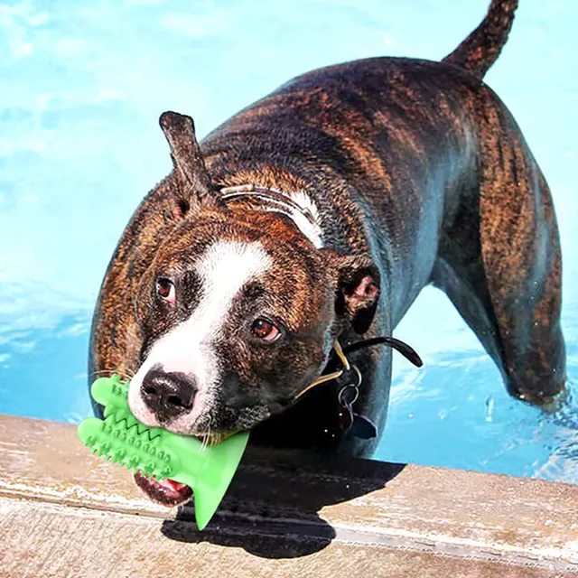 Giocattolo da masticare resistente per la pulizia dei denti per cani con spazzolino molare e cura dei denti per cuccioli