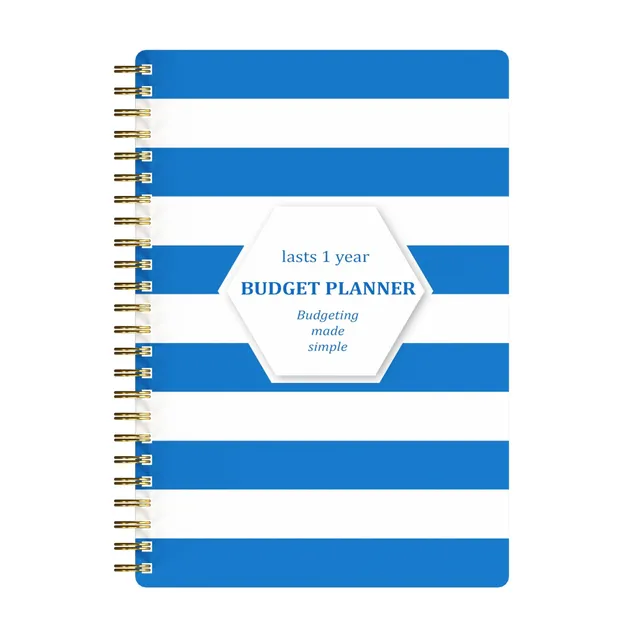 Finance and spending organizer - Monthly budget planner for efficient management (in Czech a5) Blue Stripe