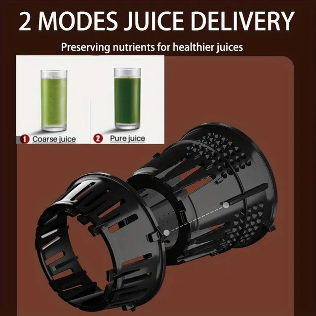 Slow juicer for cold press, 1 pcs, EU plug, worm juicer for fruit and vegetables