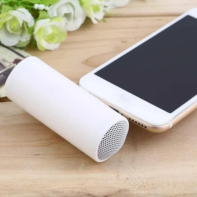 Mini speaker with 3.5mm jack connector