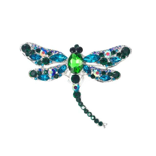 Beautiful ladies brooch decorated with dragonfly
