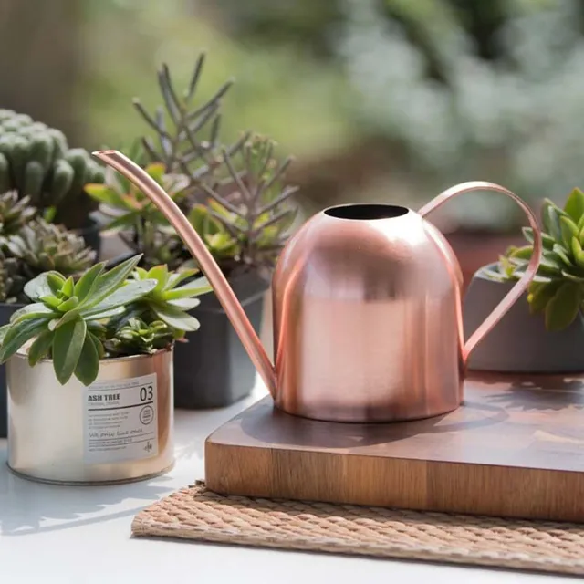 Metal watering can for watering flowers