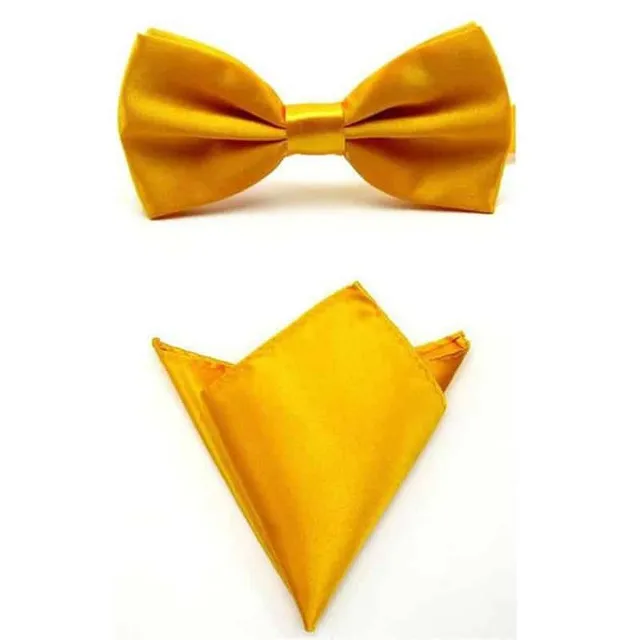Férfi luxus szett | Csokornyakkendő, zsebkendő yellow-gold