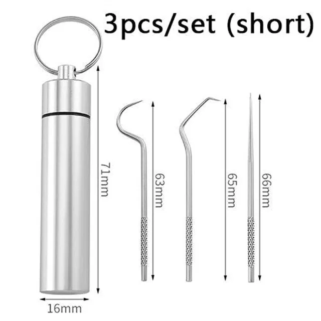 Stainless steel toothpick set Dental floss Reusable toothpicks Portable toothpicks Dental floss Toothbrush Oral cleaning