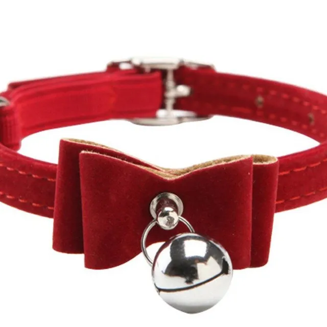 Collar with bow tie and bell for dogs and cats