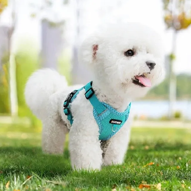 Dog safety harness with leash Networked harness for small dogs Reflective cord with guide Breathable vest for dogs 9 - 11 kg