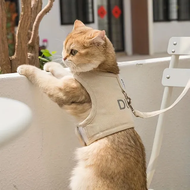 Harness and guide for cats with reflective elements for safe walks and travel - without pulling