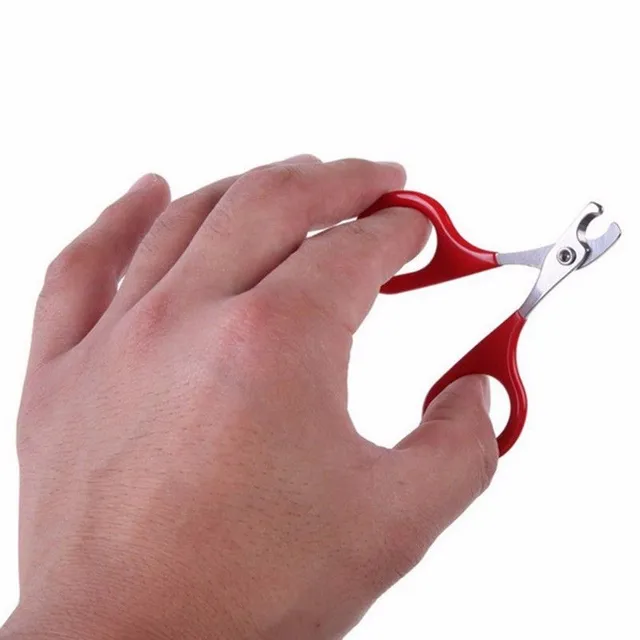 Scissors for claws for dogs and cats