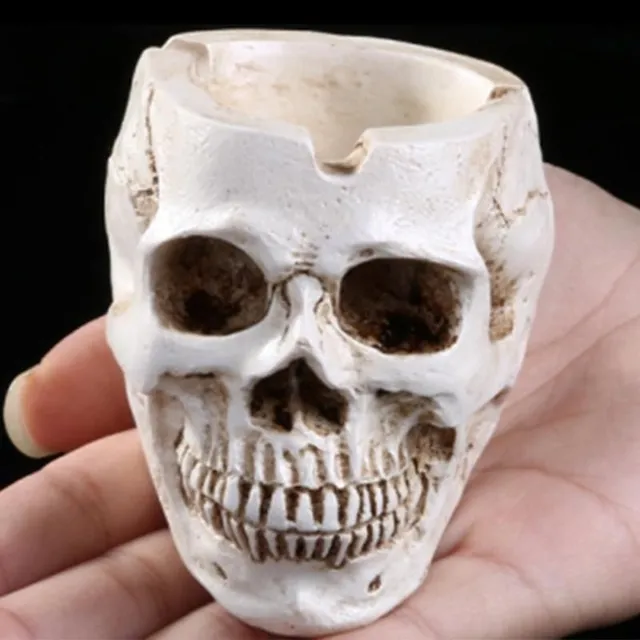 Ashtray in the shape of a skull