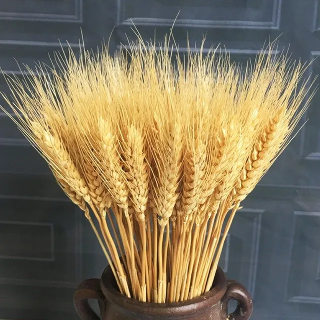Dekorácia do vázy rôznych farieb - pšeničné ucho