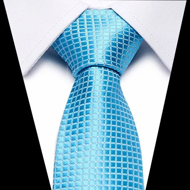 Men's luxury business tie Brock