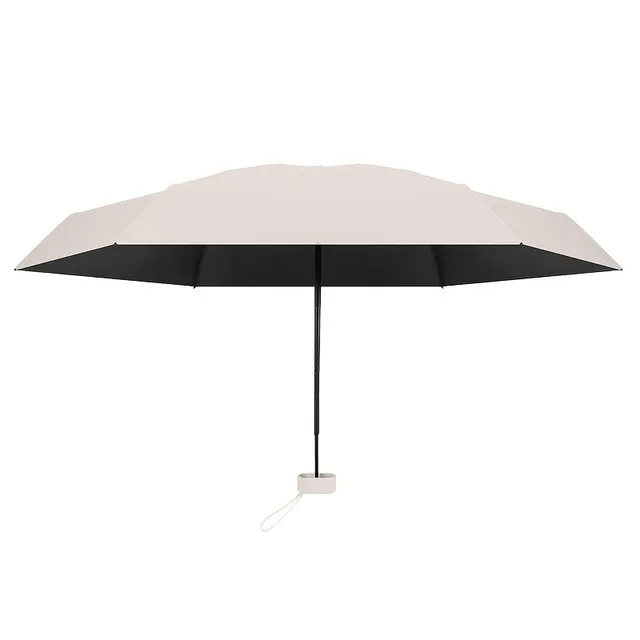 Miniature umbrella with case